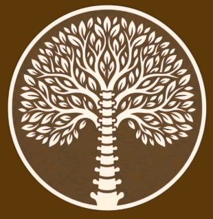 Chiropracteur Tarnos